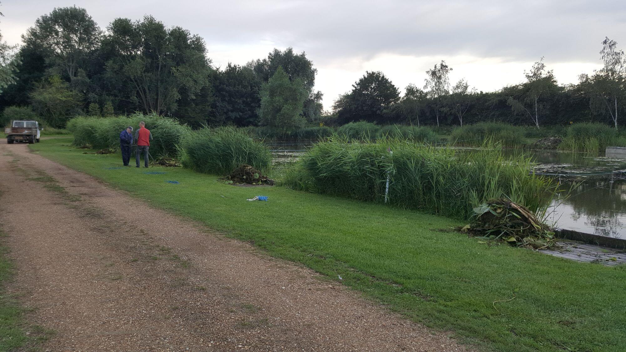 Weed removal 29th July
